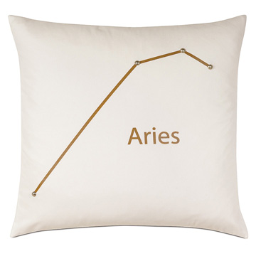  20X20 ARIES